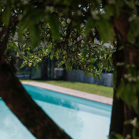 Casa Do Vale -Villa Rio Minho-Seixas-Caminha Kültér fotó