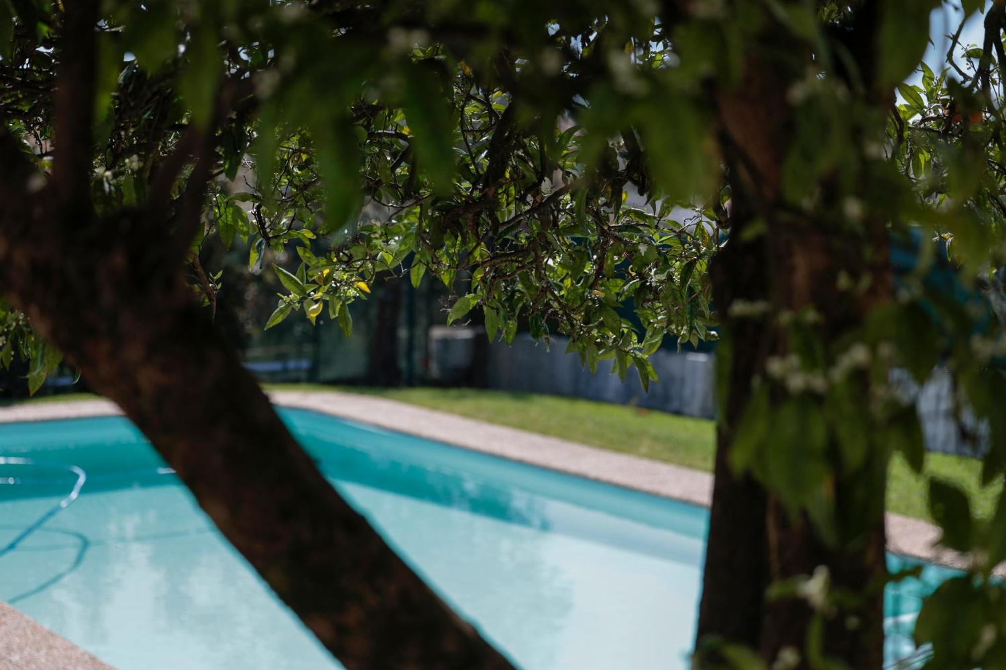 Casa Do Vale -Villa Rio Minho-Seixas-Caminha Kültér fotó